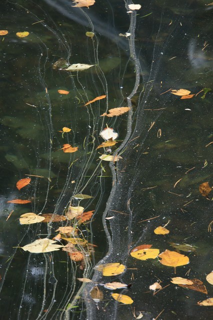 e0242721_78781.jpg