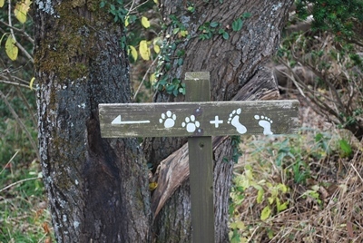 c0013922_11391311.jpg