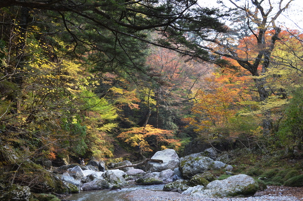 b0279623_10513970.jpg