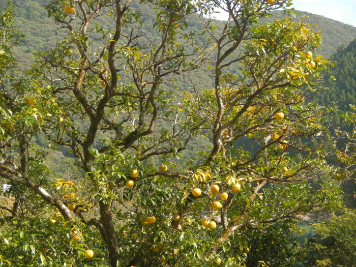 a0248230_20385370.jpg