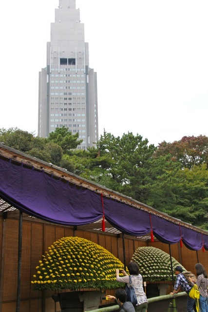f0348831_22445586.jpg