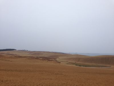 a0070236_12104864.jpg