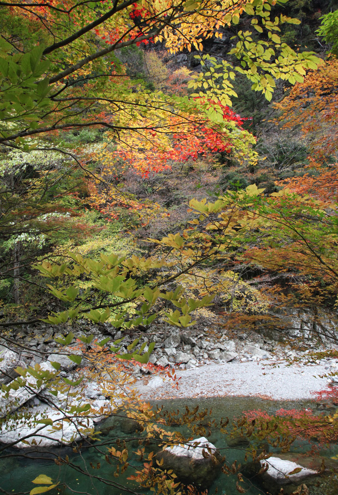 天川村　みたらい渓谷　紅葉_c0108146_22133834.jpg