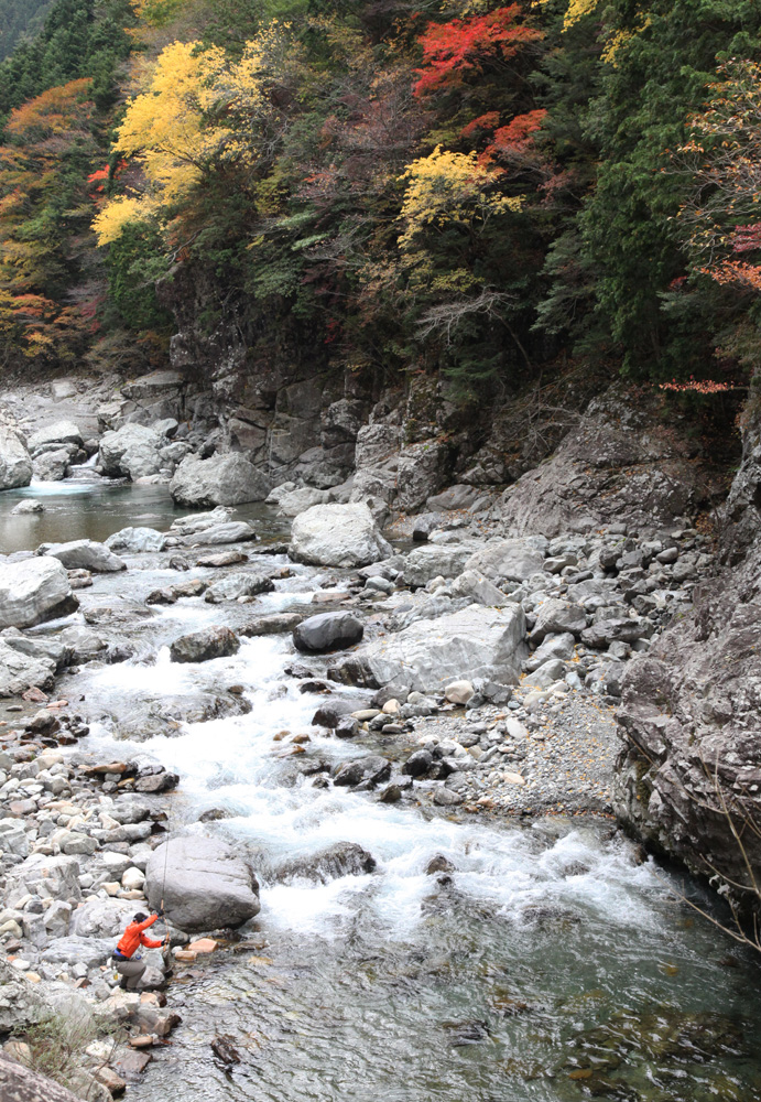 天川村　みたらい渓谷　紅葉_c0108146_22135584.jpg