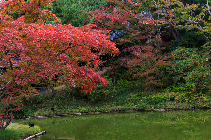 高台寺・秋景(前編)_f0155048_0254418.jpg