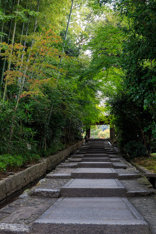 高台寺・秋景(前編)_f0155048_025535.jpg