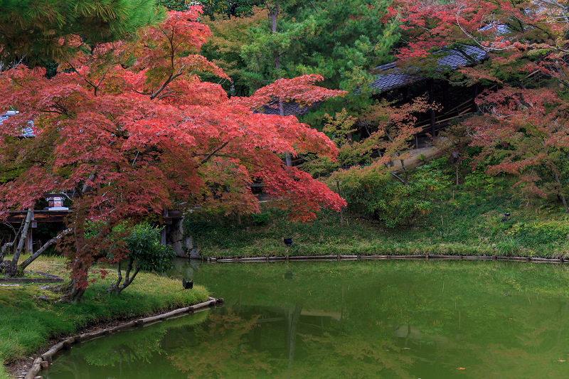 高台寺・秋景(前編)_f0155048_0265533.jpg