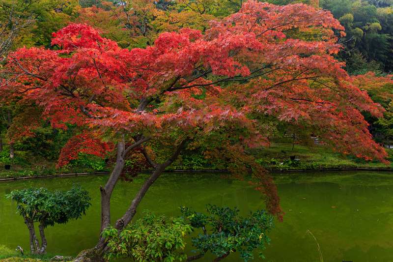 高台寺・秋景(前編)_f0155048_0271614.jpg