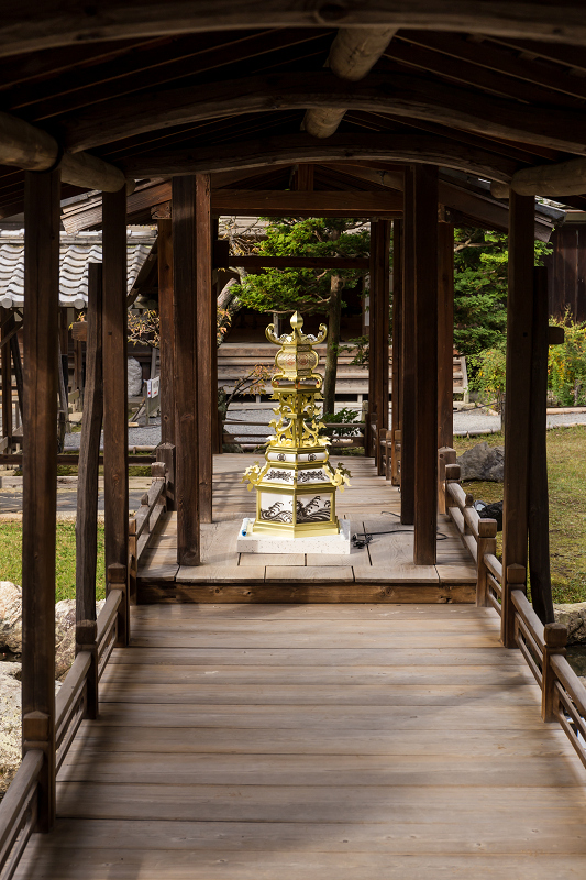 高台寺・秋景(前編)_f0155048_0272387.jpg