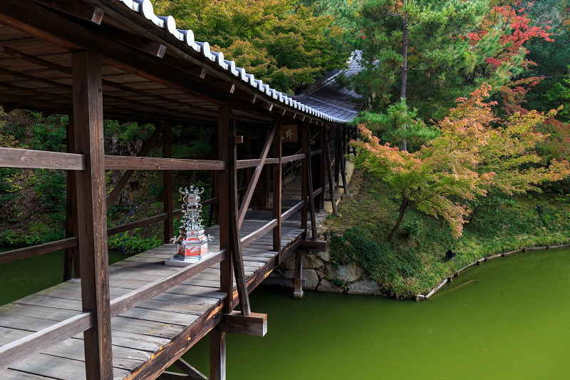 高台寺・秋景(前編)_f0155048_027362.jpg