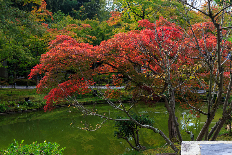 高台寺・秋景(前編)_f0155048_02803.jpg