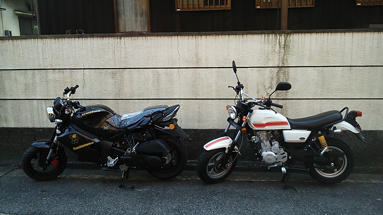 ＨａｒｔＦｏｒｄ！Bumblebee１５０！入荷しました！_a0169050_21551935.jpg