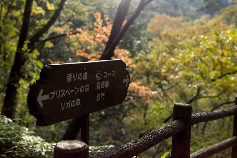 f0323351_12410387.jpg