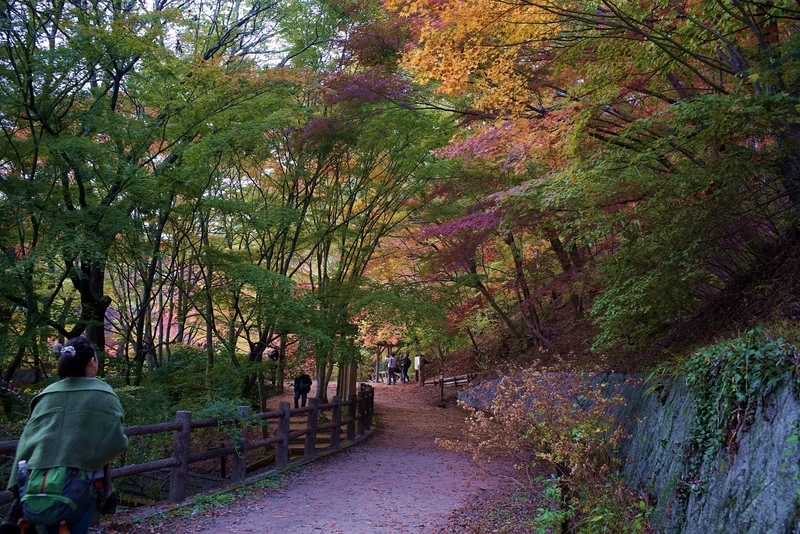 f0323351_12423389.jpg