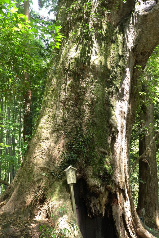 那智山7（和歌山県）_a0288155_15375550.jpg