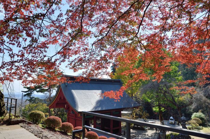 妙義神社の紅葉_c0205858_17183253.jpg