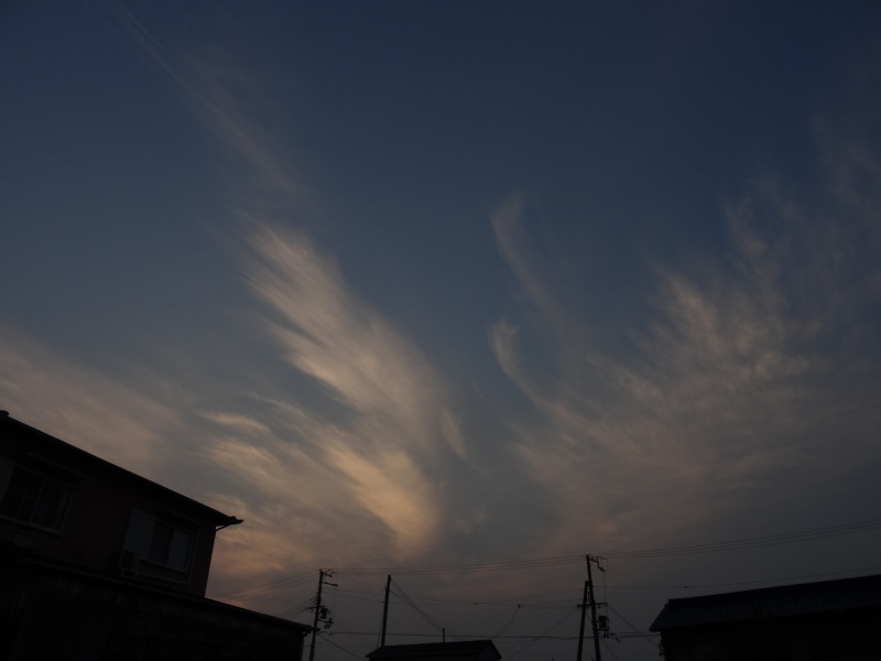 c0108460_17560962.jpg