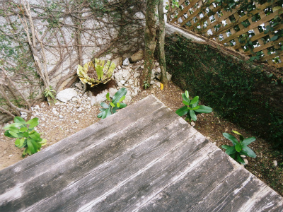 c0180460_1615577.jpg