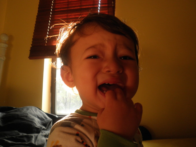 d0181461_002597.jpg