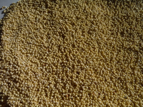 e0168764_23024957.jpg