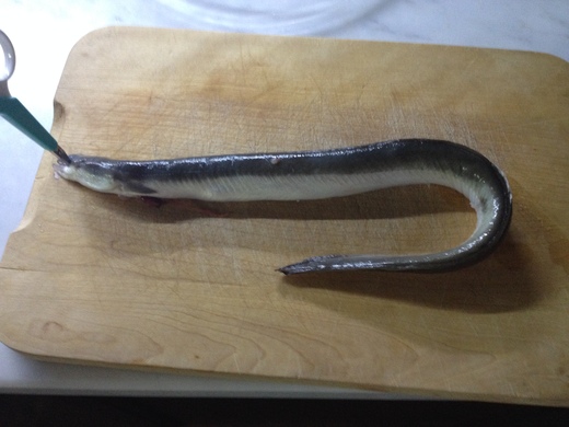 うなぎのオーブン焼き・わさび醤油_a0136671_3335318.jpg