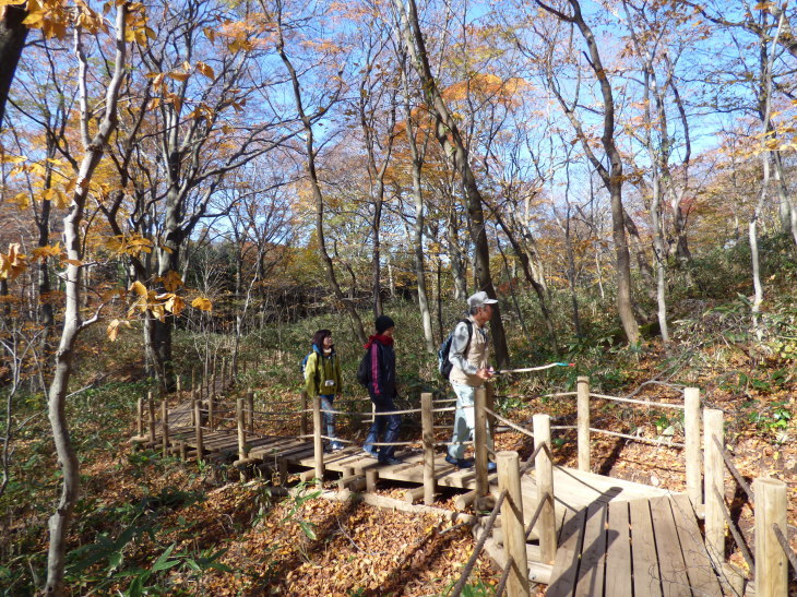 f0328782_15251605.jpg