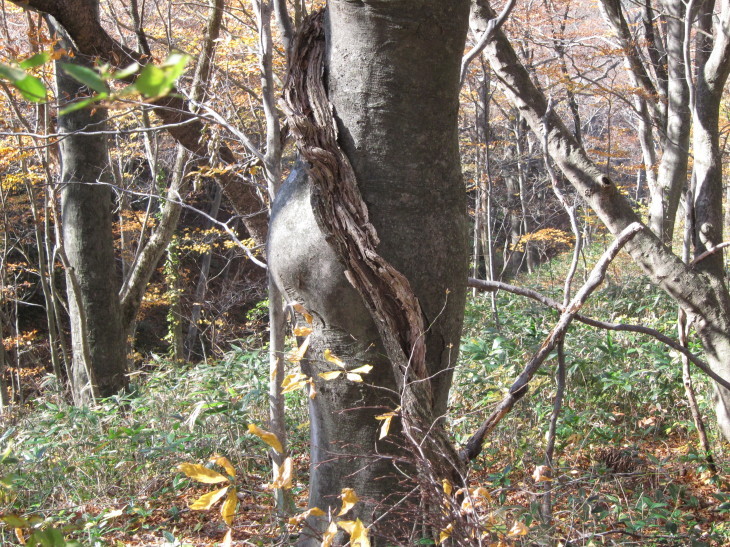 f0328782_15253495.jpg