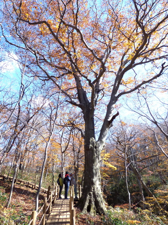 f0328782_15261893.jpg