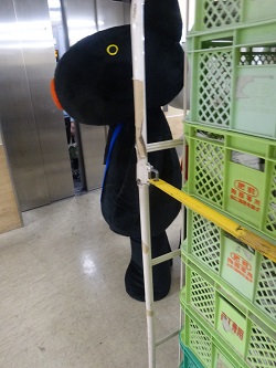 草月流さんの華展会場へ (博多阪急)_d0195183_1633411.jpg