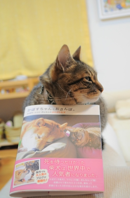 可愛いの_a0126590_00135742.jpg