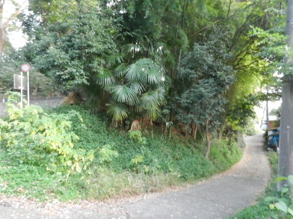 d0224990_18552948.jpg