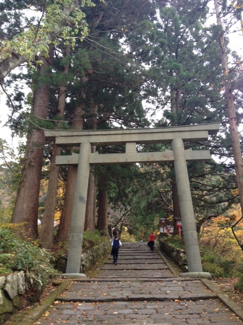 大山_f0204295_824817.jpg