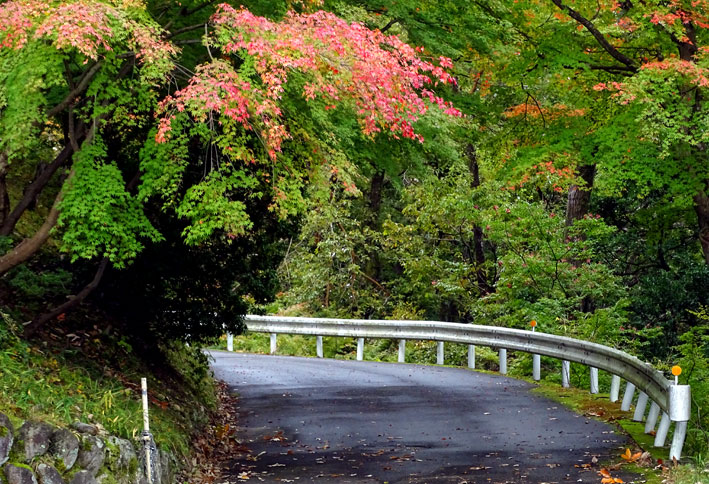 白雲荘の紅葉もこれから_b0145296_1246717.jpg