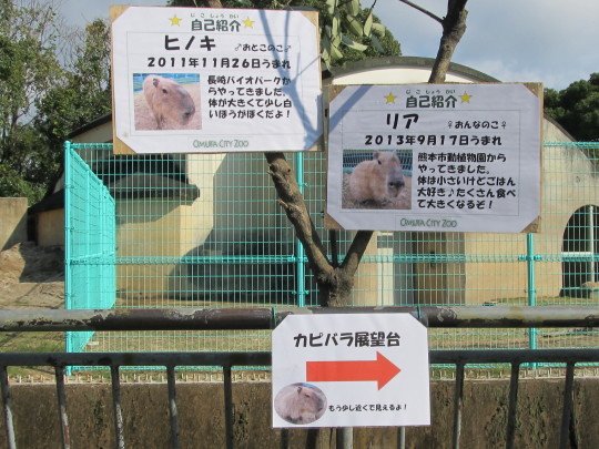 カビパラ展望台_c0290504_21024316.jpg