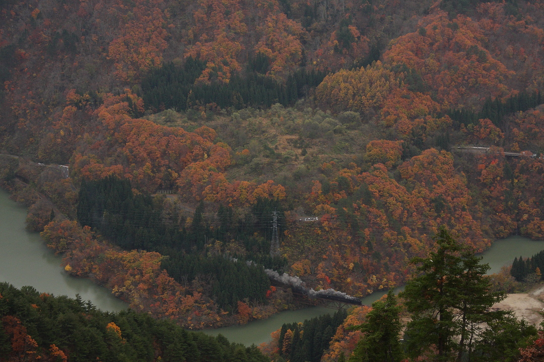 紅く色付いた山を貫いて汽車が走る - 2014年紅葉・只見 - _b0190710_019109.jpg