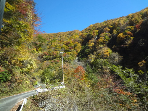 c0193512_1244412.jpg