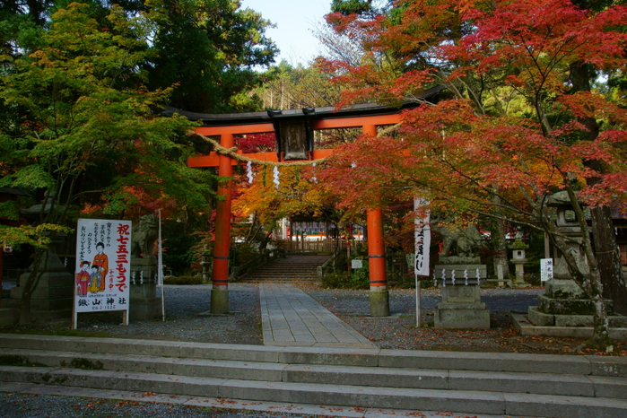 鍬山神社_e0177413_853436.jpg