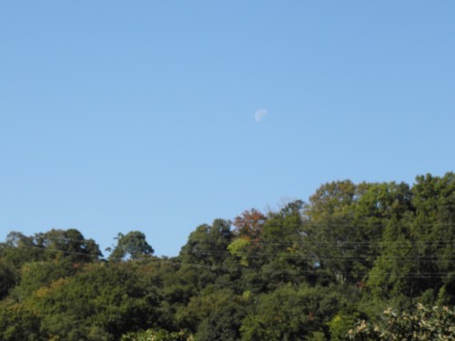 b0342516_21494648.jpg