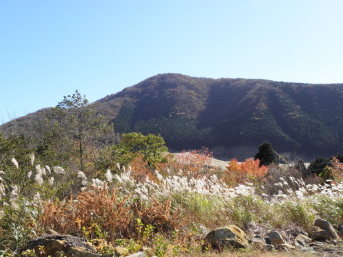 b0342516_21534878.jpg