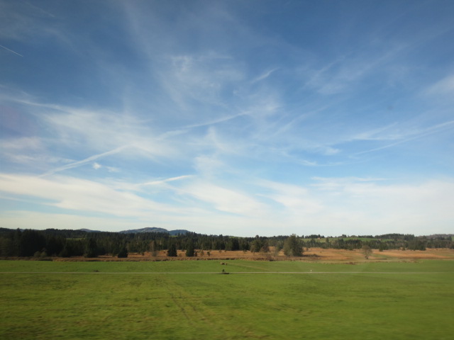f0248616_12481785.jpg