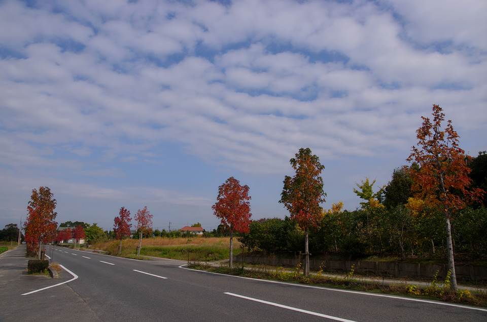 f0222919_12391655.jpg