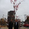 f0059321_1144187.jpg