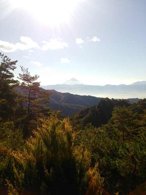 本日の駅長紅葉情報_d0167225_1001523.jpg