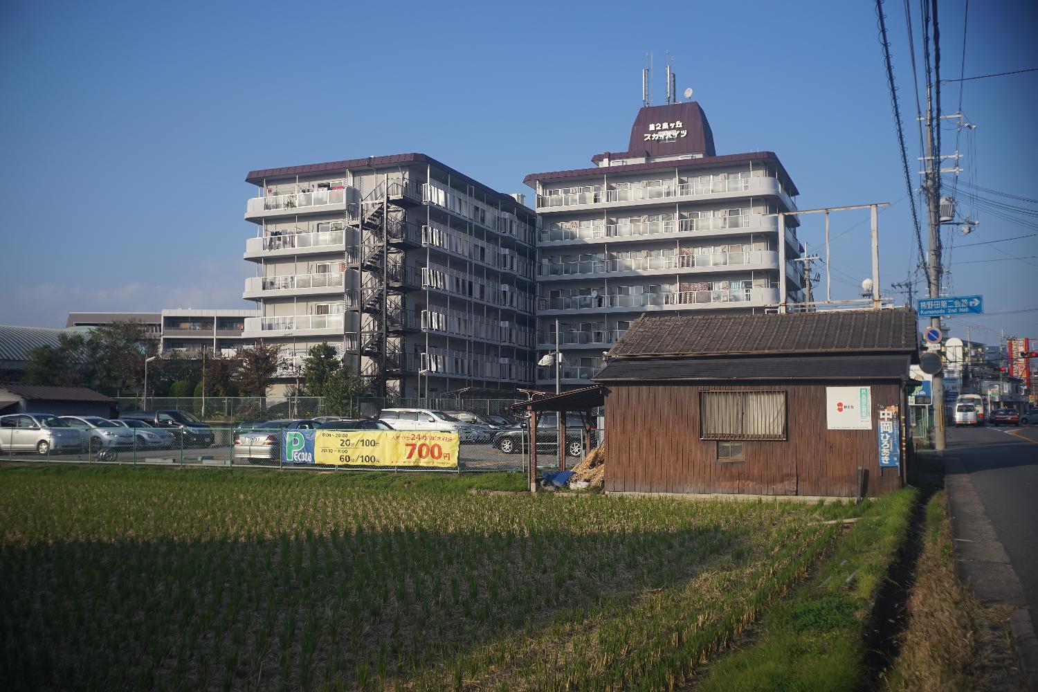 b0069128_10315267.jpg