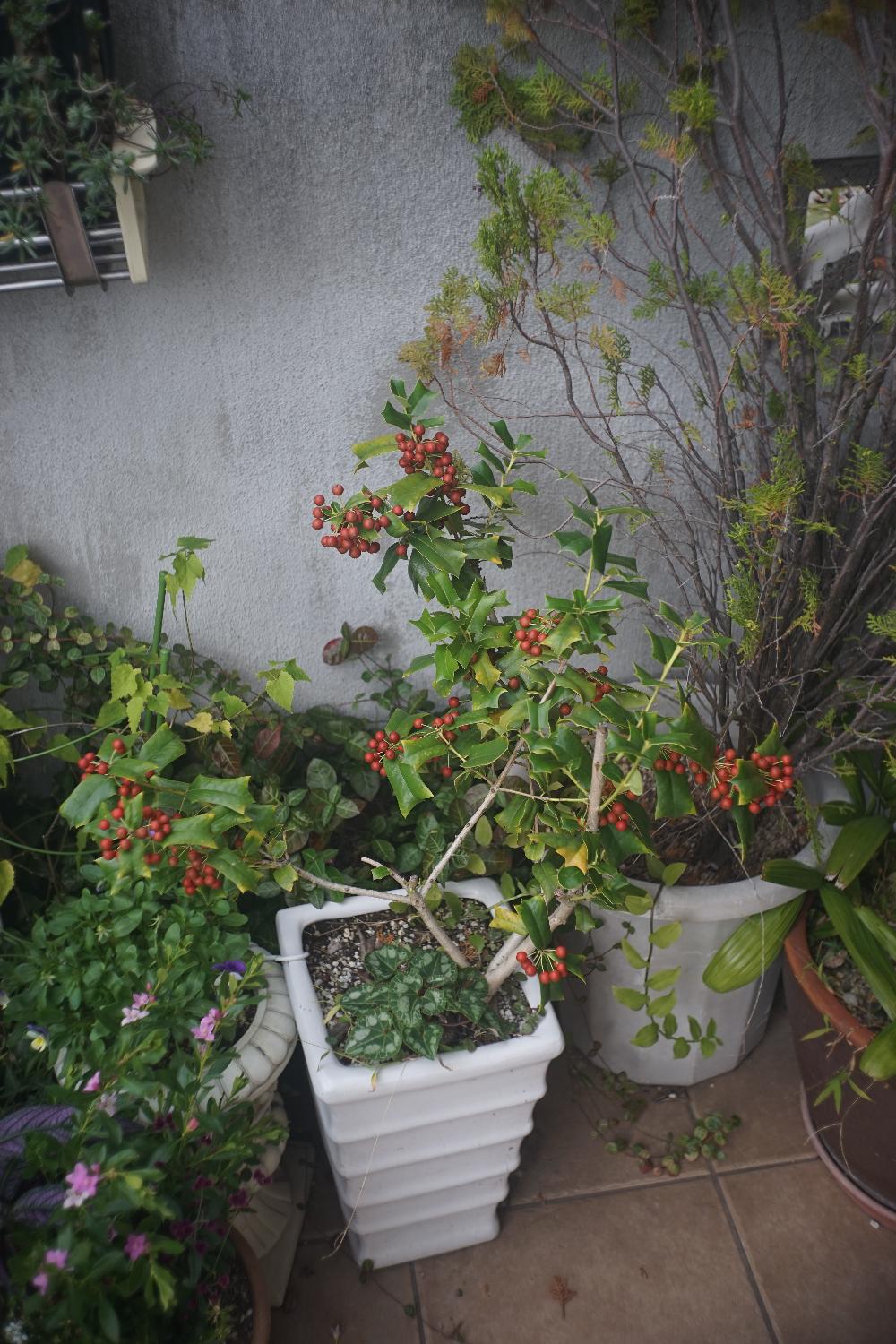 b0069128_8502629.jpg