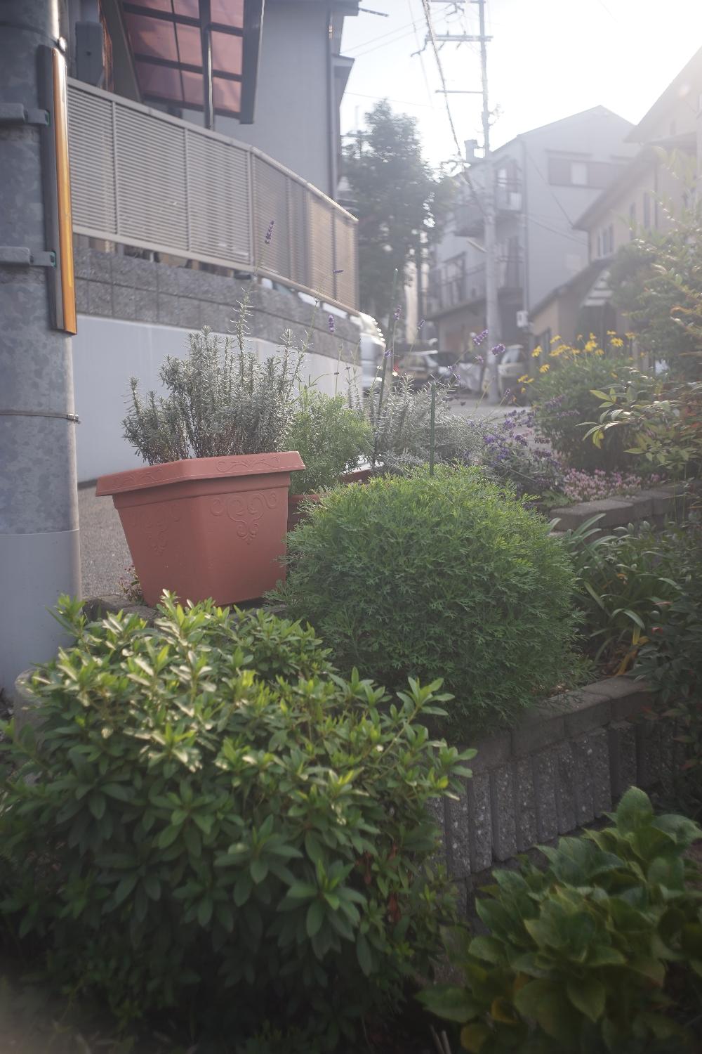 b0069128_9494875.jpg