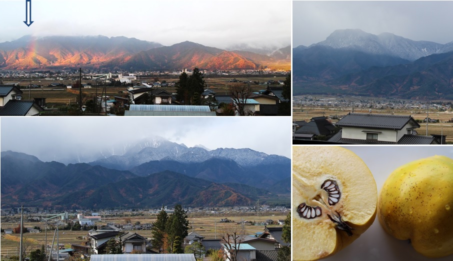 朝の虹と山の雪_a0212730_19545074.jpg