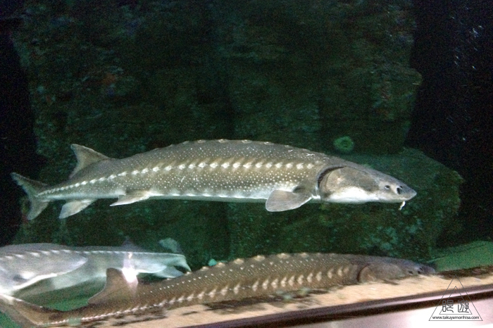 c0211532_04278.jpg