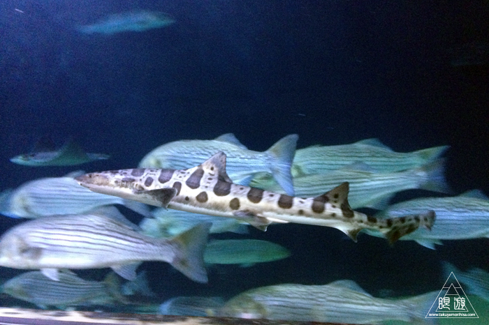 c0211532_04449.jpg