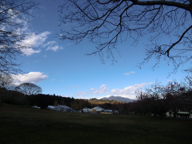 a0006033_18493262.jpg